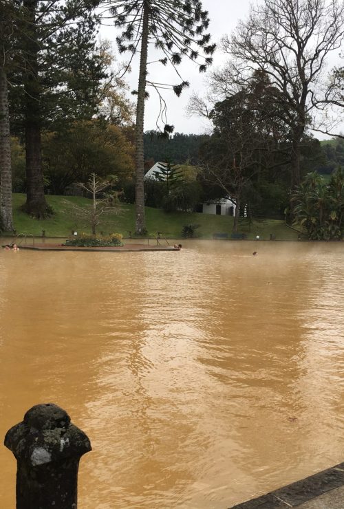 14C7F653-4B93-4153-8CB5-CC8653258E59