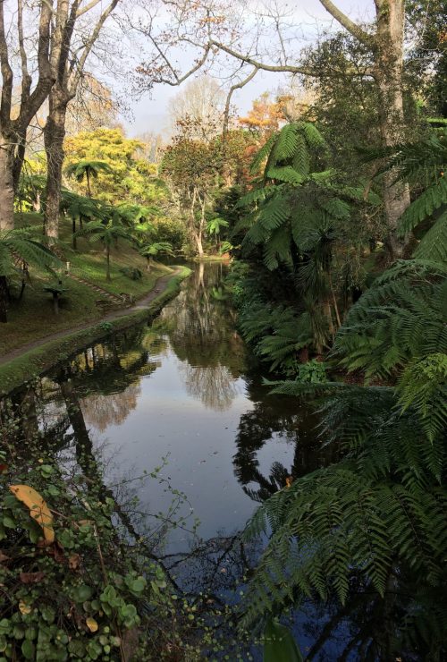 402D98F3-BB87-4E65-A5D0-4AE787A41FCD